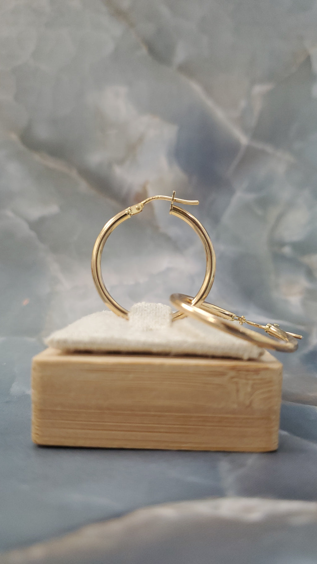 Classic Hoop Earrings 169