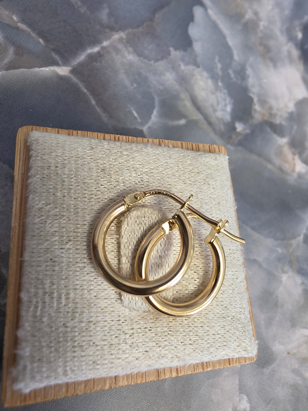 Classic Hoop Earrings 100