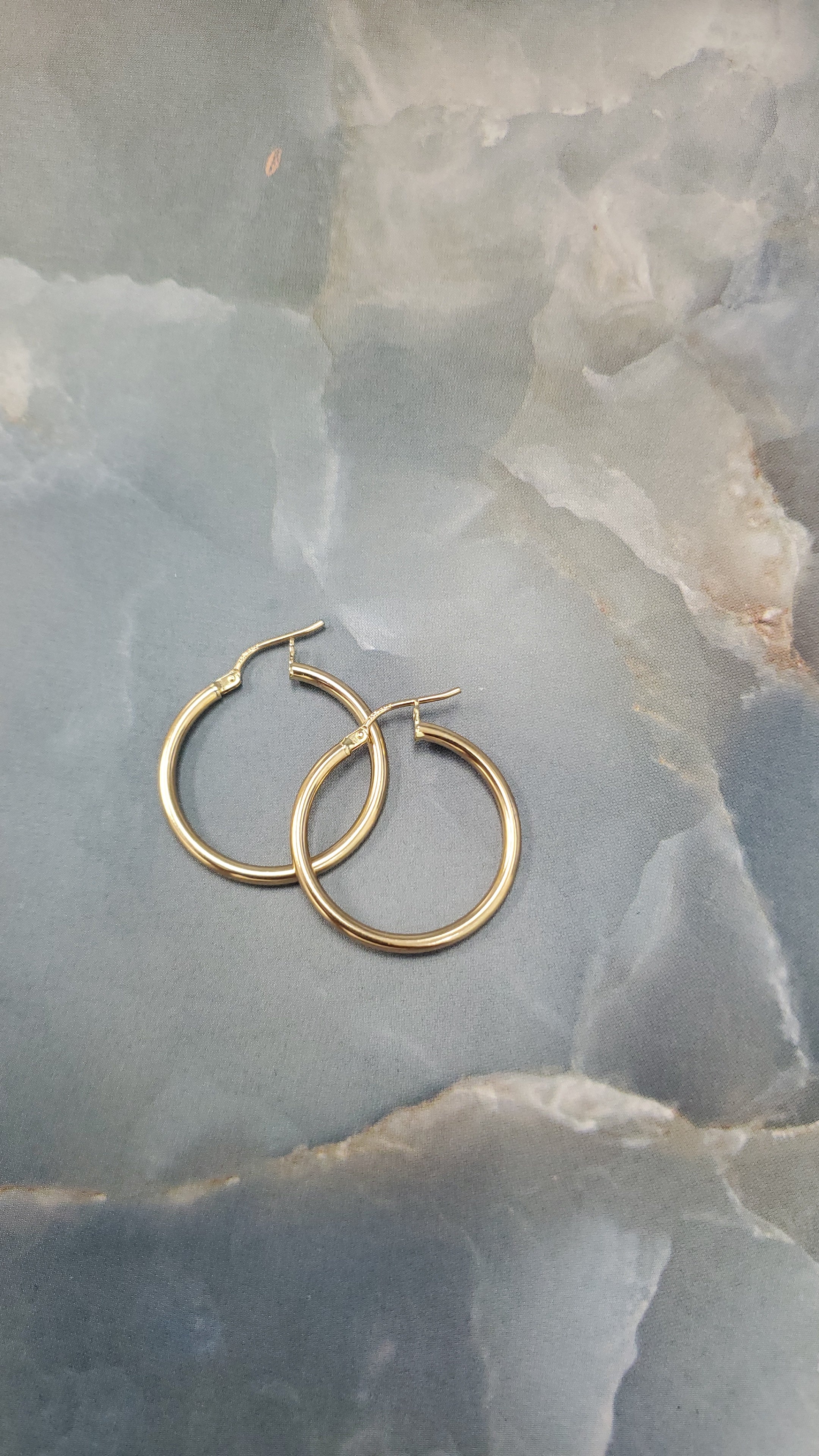 Classic Hoop Earrings 169