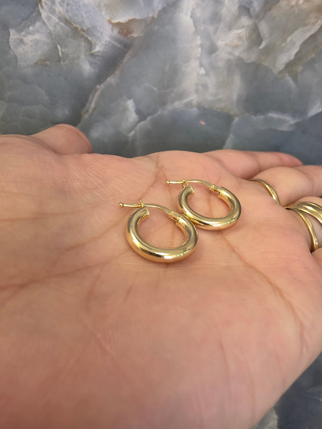 Polished Hoop Earrings 137