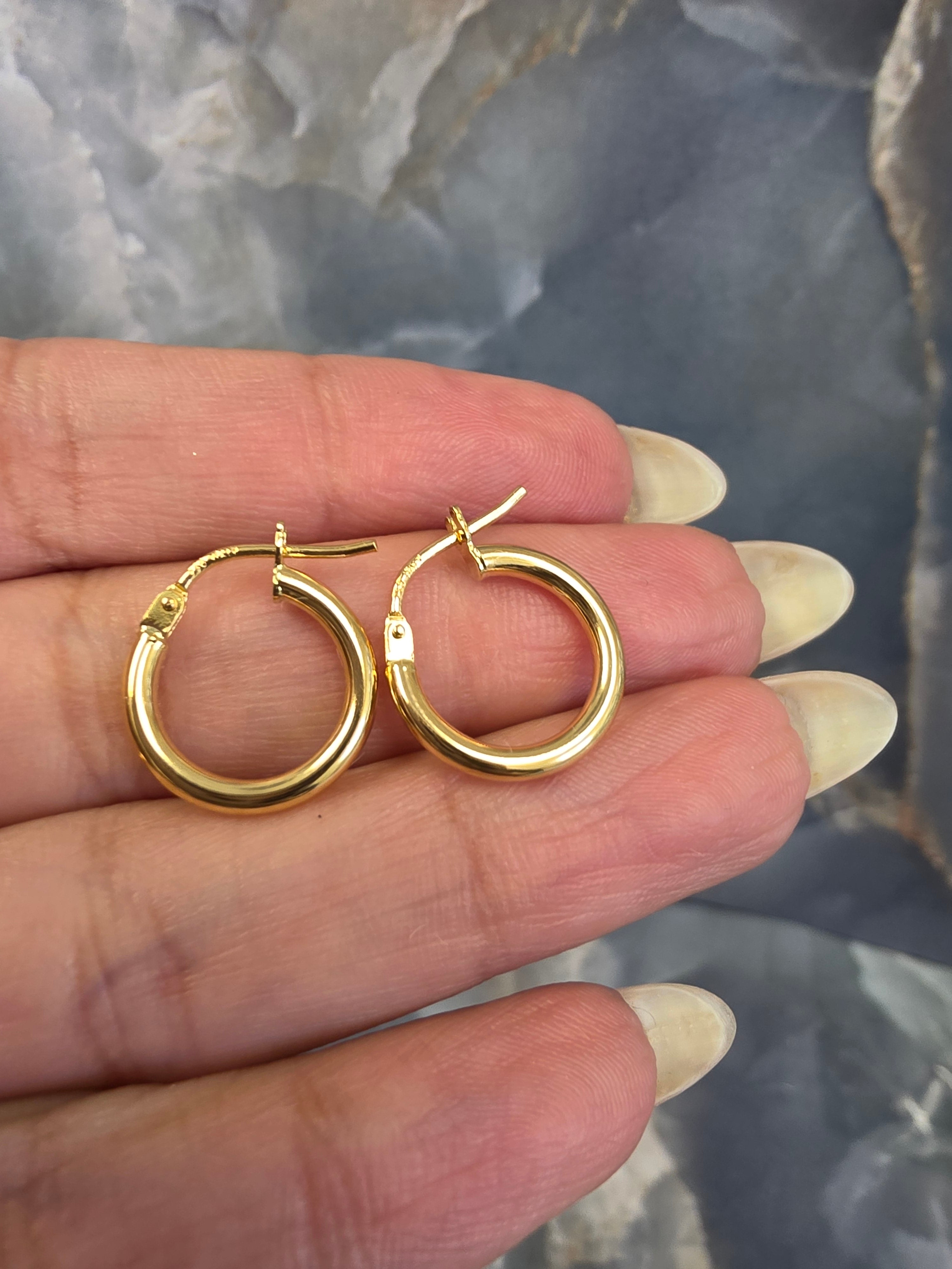 Classic Hoop Earrings 100