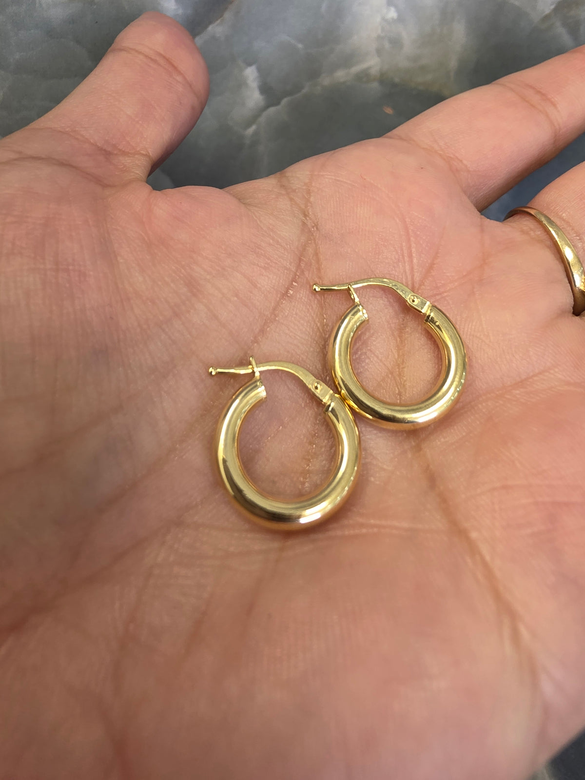 Polished Hoop Earrings 137