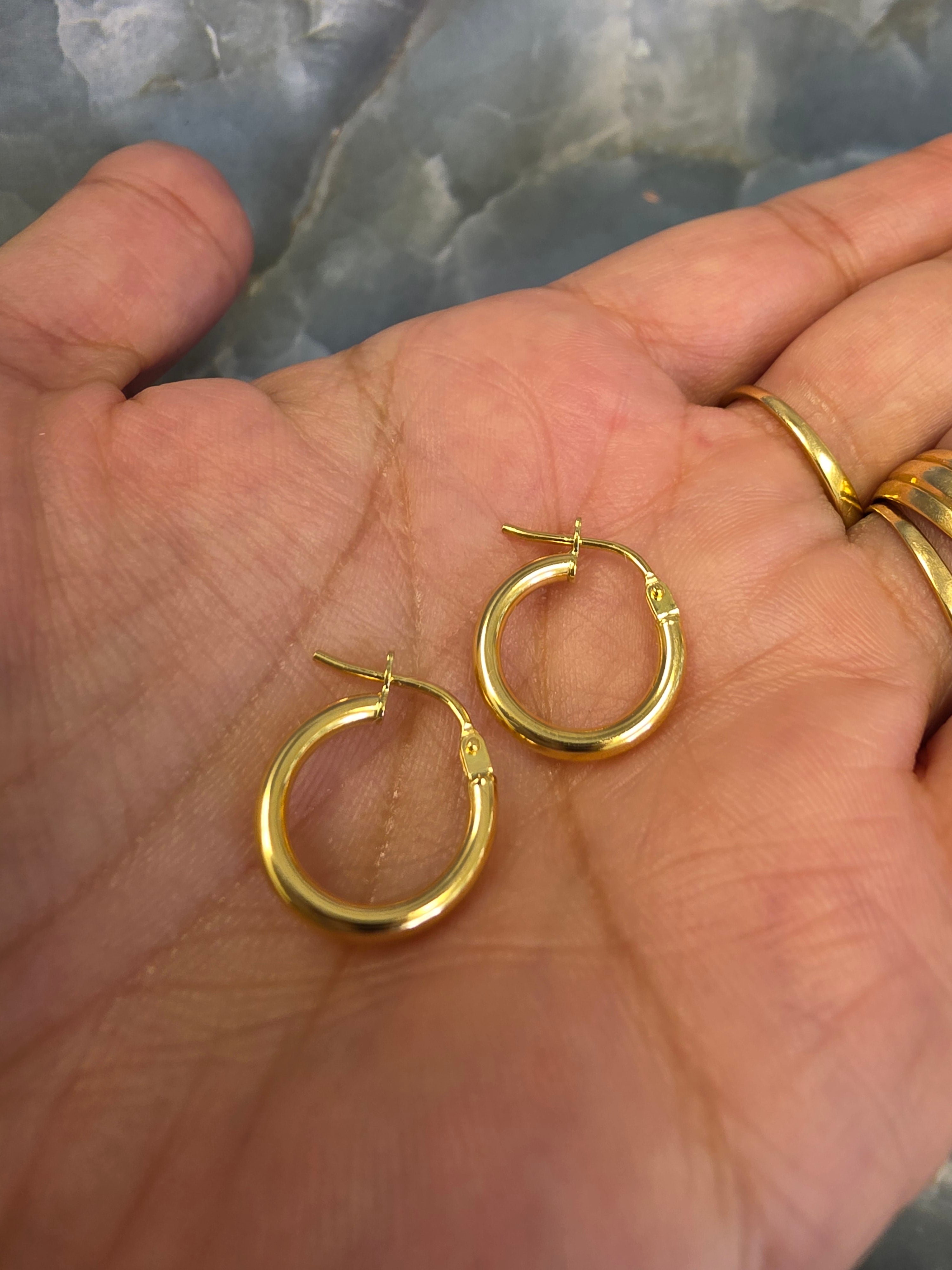 Classic Hoop Earrings 100