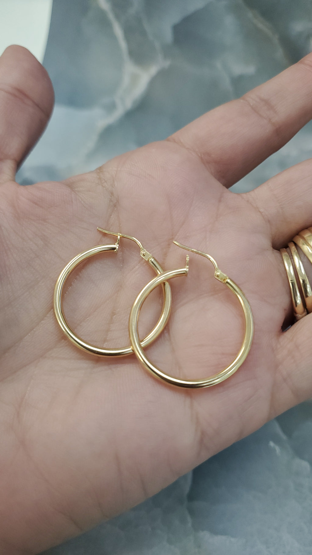 Classic Hoop Earrings 169