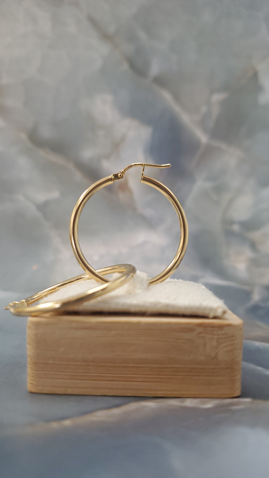 Classic Hoop Earrings 186